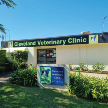 Cleveland Veterinary Clinic - sister clinic