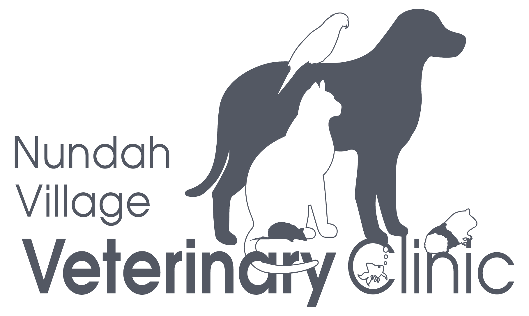 Nundah Village Veterinary Clinic