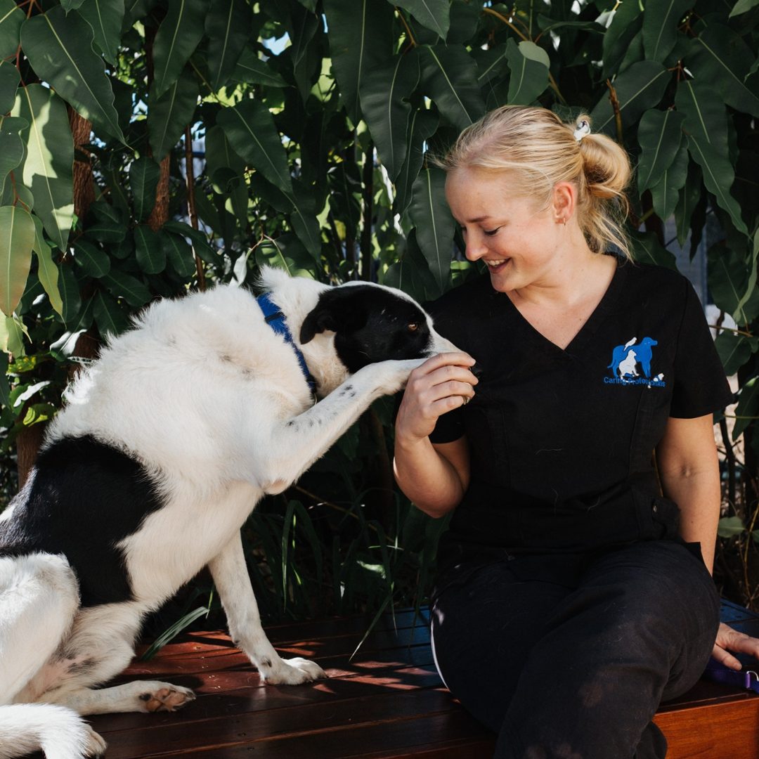 Allison Morris - Team Leader & Veterinary Nurse at Nundah Village Veterinary Clinic